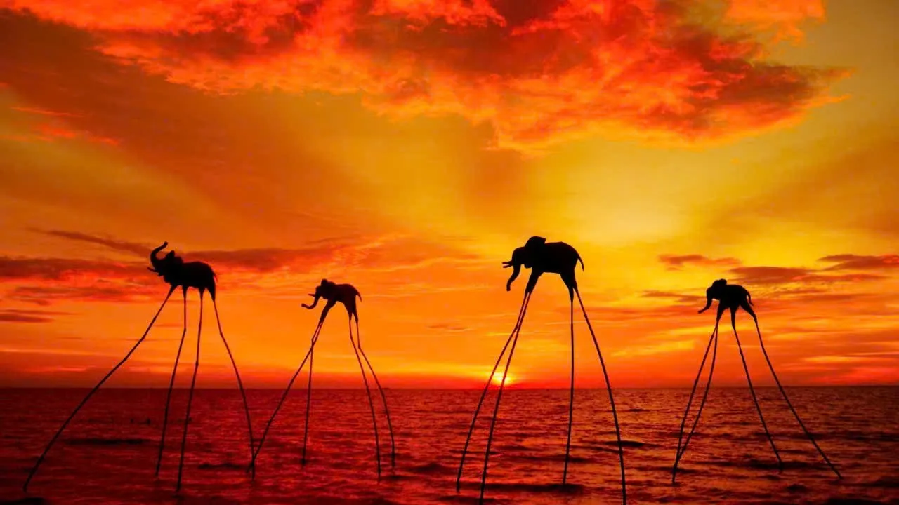 Famous sunset at Bai Truong beach